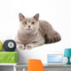 British Grey Cat Wall Decal