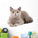 British Grey Cat Wall Decal