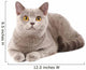 British Grey Cat Wall Decal