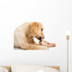 Labrador Puppy Chewing Large Wall Decal
