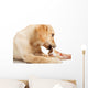 Labrador Puppy Chewing Large Wall Decal