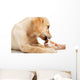 Labrador Puppy Chewing Large Wall Decal