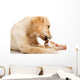 Labrador Puppy Chewing Large Wall Decal