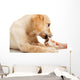 Labrador Puppy Chewing Large Wall Decal