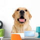 Young Labrador Retriever Dog Wall Decal