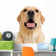 Young Labrador Retriever Dog Wall Decal