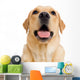 Young Labrador Retriever Dog Wall Decal