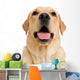 Young Labrador Retriever Dog Wall Decal