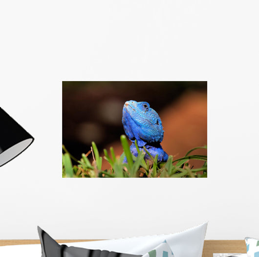 Reptile Wall Decal