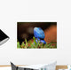 Reptile Wall Decal