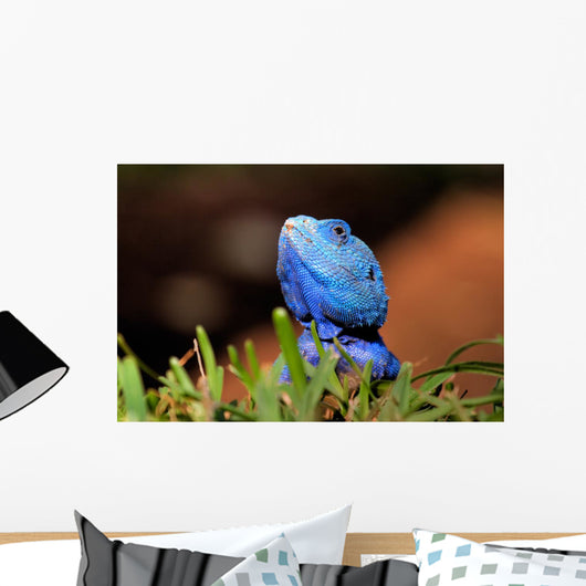 Reptile Wall Decal