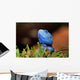 Reptile Wall Decal
