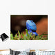Reptile Wall Decal
