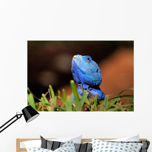 Reptile Wall Decal