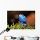 Reptile Wall Decal