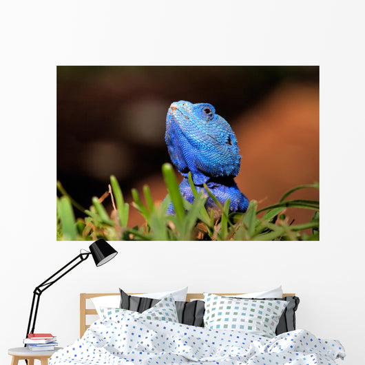 Reptile Wall Decal