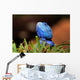 Reptile Wall Decal