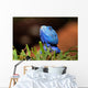 Reptile Wall Decal