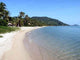 Koh Samui Wall Decal