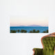 From Sinai Peninsula to Wall Decal