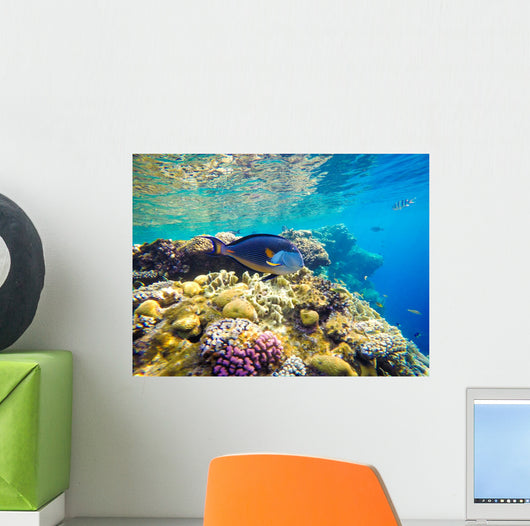 Underwater World Red Sea Wall Decal