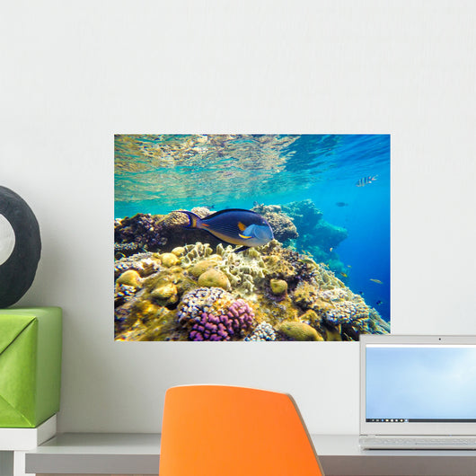 Underwater World Red Sea Wall Decal