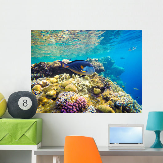Underwater World Red Sea Wall Decal