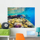 Underwater World Red Sea Wall Decal