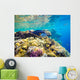 Underwater World Red Sea Wall Decal