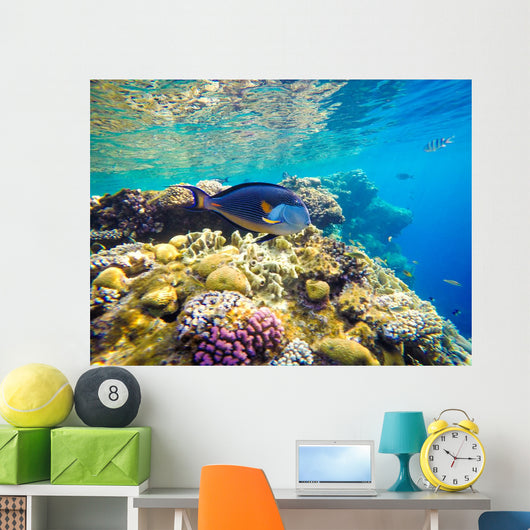 Underwater World Red Sea Wall Decal