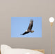 Adult Bald Eagle Haliaeetus Wall Decal
