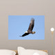 Adult Bald Eagle Haliaeetus Wall Decal