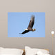 Adult Bald Eagle Haliaeetus Wall Decal