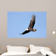 Adult Bald Eagle Haliaeetus Wall Decal