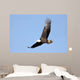 Adult Bald Eagle Haliaeetus Wall Decal