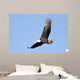 Adult Bald Eagle Haliaeetus Wall Decal
