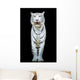 White Tiger Wall Decal