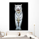 White Tiger Wall Decal