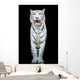 White Tiger Wall Decal