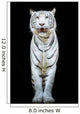 White Tiger Wall Decal