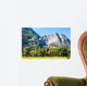 Yosemite national park - California - USA  Wall Mural