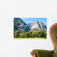 Yosemite national park - California - USA  Wall Mural