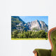 Yosemite national park - California - USA  Wall Mural