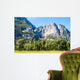 Yosemite national park - California - USA  Wall Mural