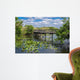 Florida Everglades Boardwalk Wall Mural
