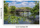 Florida Everglades Boardwalk Wall Mural