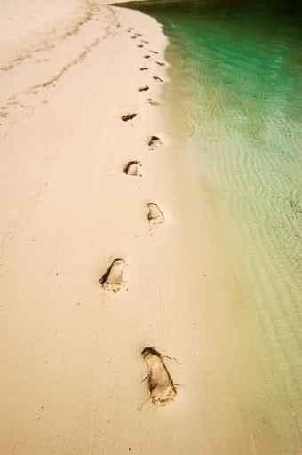 Footprints Beach Wall Decal Design 2