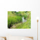 Meadow Stream Wall Decal