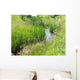 Meadow Stream Wall Decal