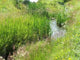 Meadow Stream Wall Decal